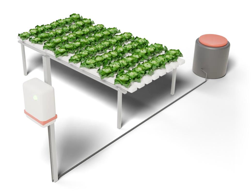A final table of lettuce, the controller on its post and the nutrient tank.